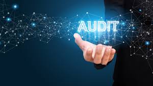 Streamlining ESG Audits