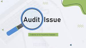 Streamlining ESG Audits